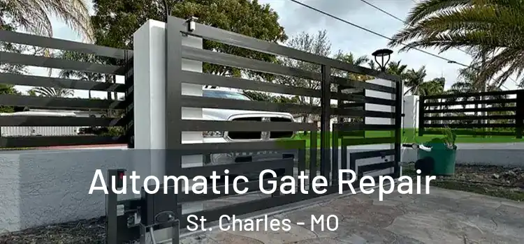 Automatic Gate Repair St. Charles - MO
