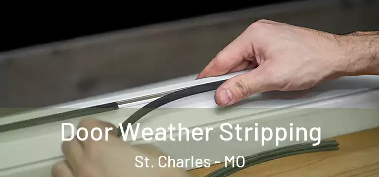 Door Weather Stripping St. Charles - MO