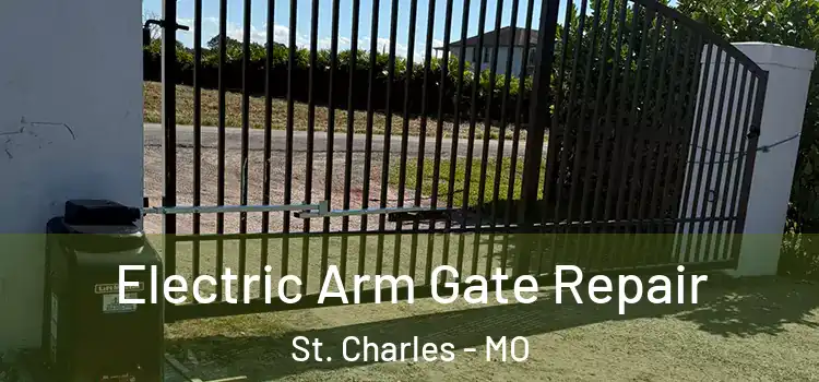 Electric Arm Gate Repair St. Charles - MO