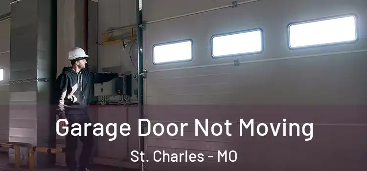  Garage Door Not Moving St. Charles - MO