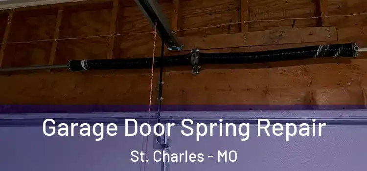  Garage Door Spring Repair St. Charles - MO