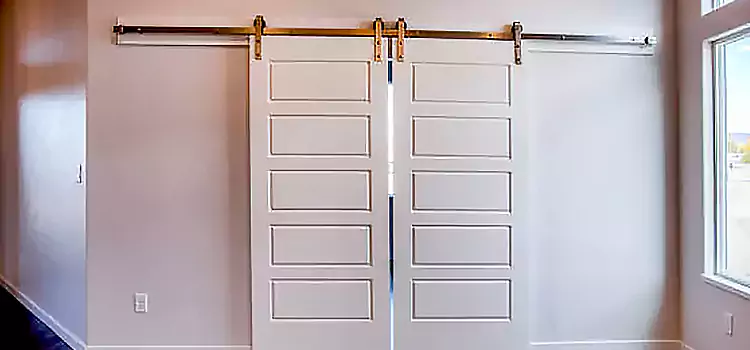 Glass Barn Door with Installation Hardware Kit St. Charles