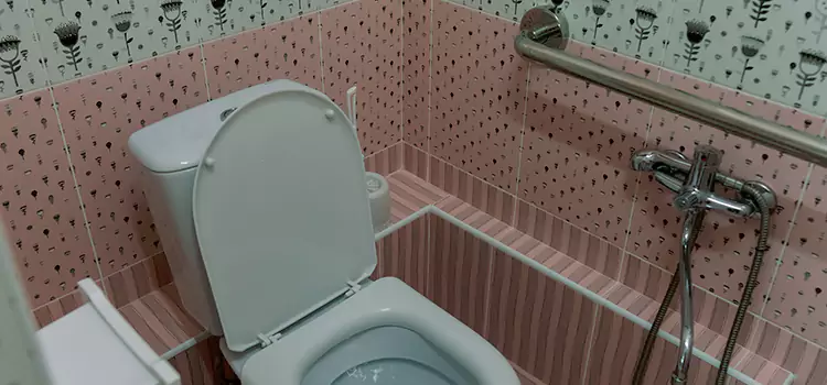 Meeting Diverse Needs With Accessible Restroom Solutions in St. Charles, MO