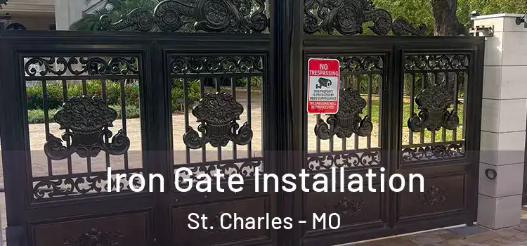 Iron Gate Installation St. Charles - MO