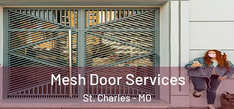 Mesh Door Services St. Charles - MO