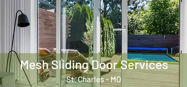 Mesh Sliding Door Services St. Charles - MO