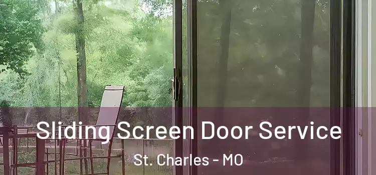 Sliding Screen Door Service St. Charles - MO